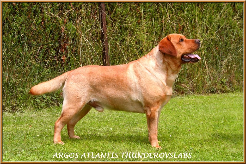 Argos atlantis thunderovslabs
