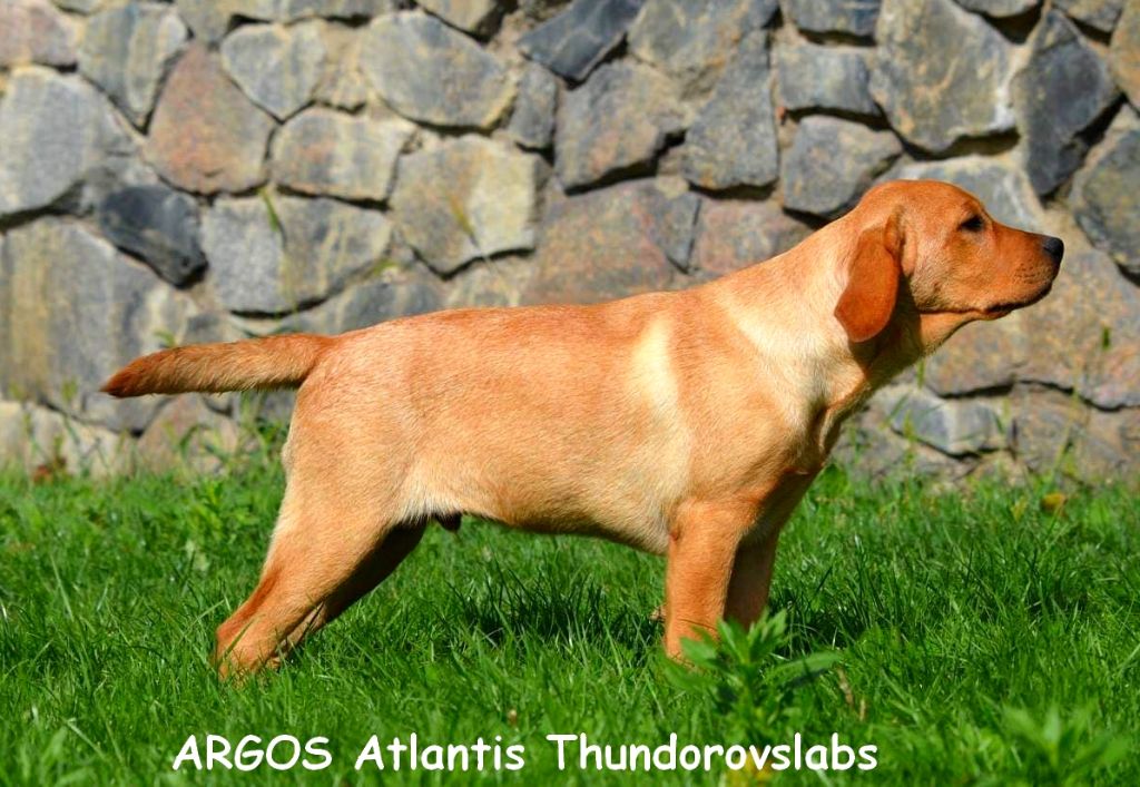 Argos atlantis thunderovslabs