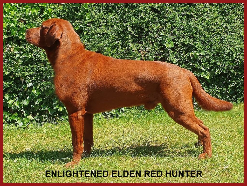 enlightened Elden red hunter